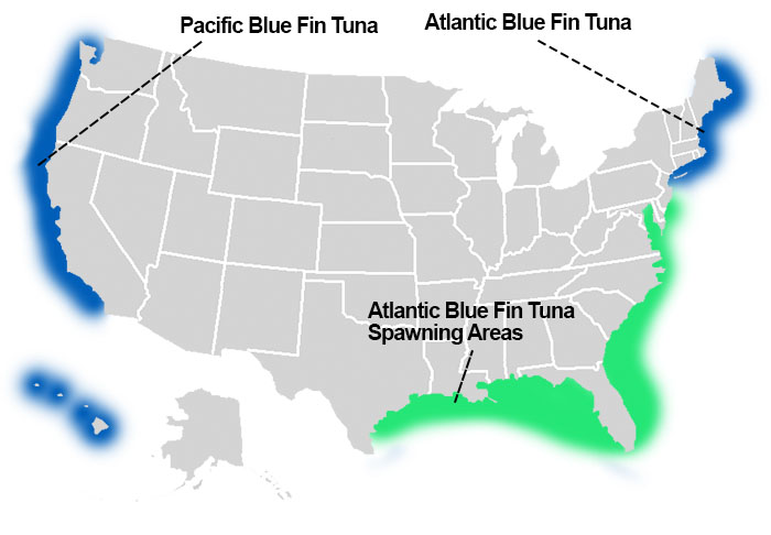 Bluefin Tuna Fishing Map