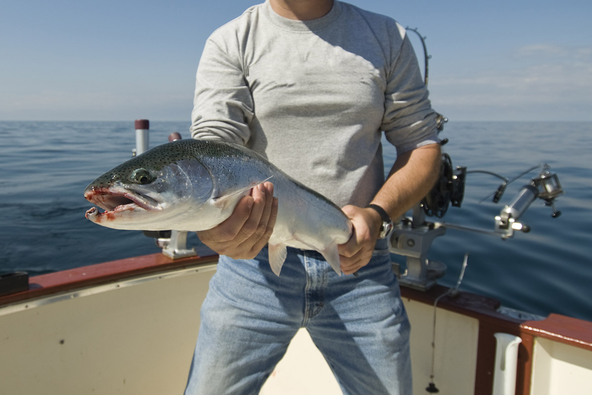 How To Get Started Trolling for Lake Trout and Salmon