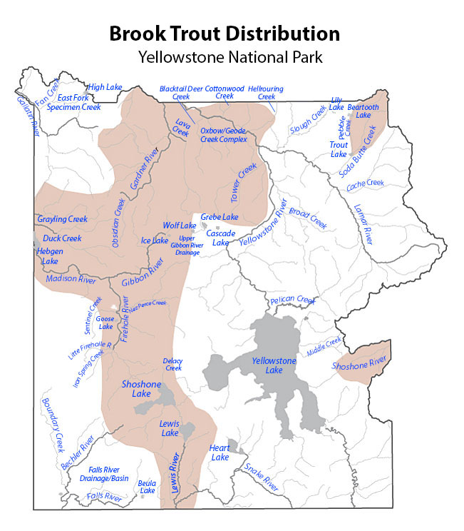 yellowstone brook trout distribution map