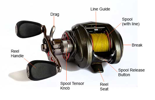 The 2 Different Spinning Reel Handles and How They Work 