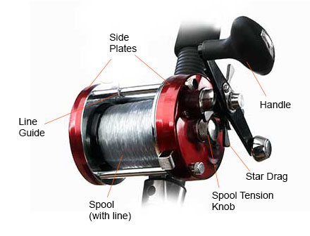 diagram of conventional reel for surf casting