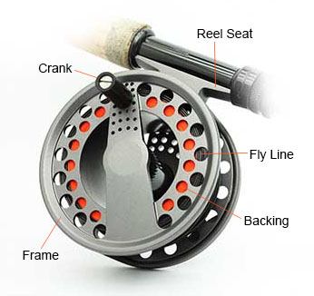 fly reel labeled diagram
