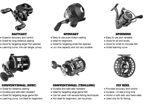types of fishing reels: baitcast, spincast, spinning, fly, conventional