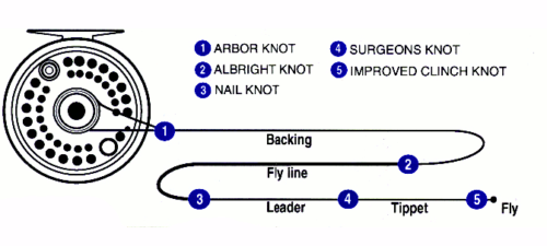 Fly Fishing Line Diagram