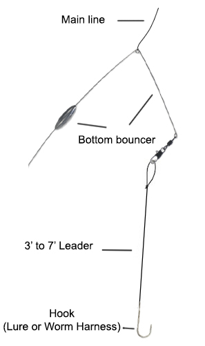 Bottom Bouncer Rig