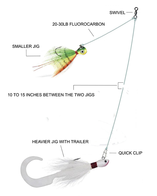 Bucktail Rig