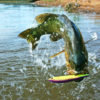 bass fishing lure