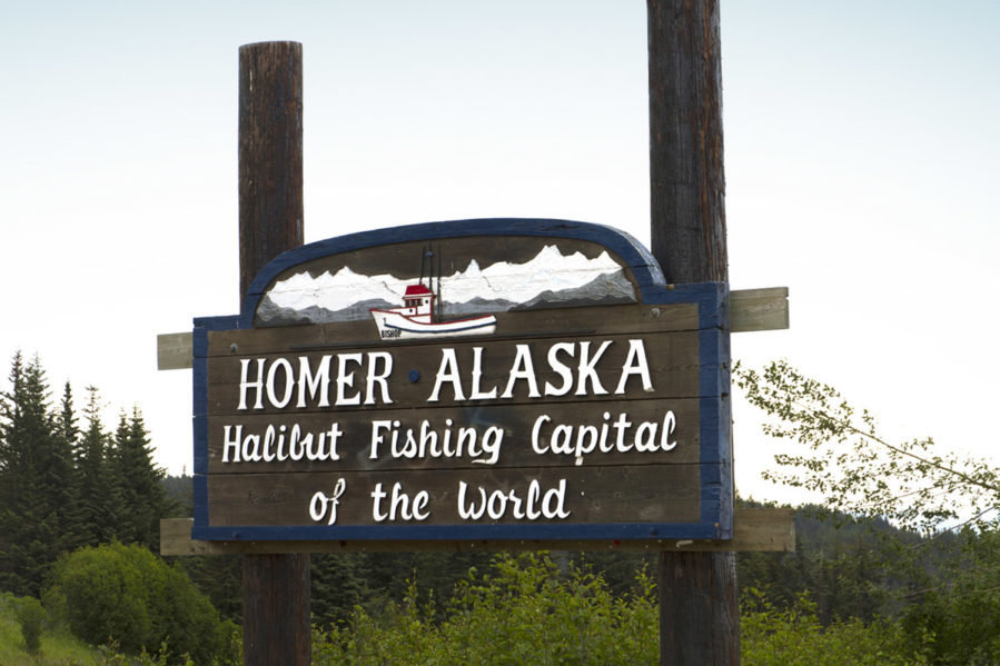homer alaska halibut fishing capital of the world