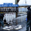 seward alaska man washing halibut catch