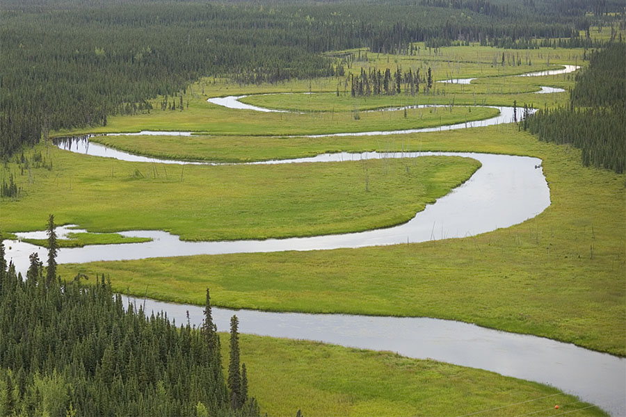 meandering moose river in alaska