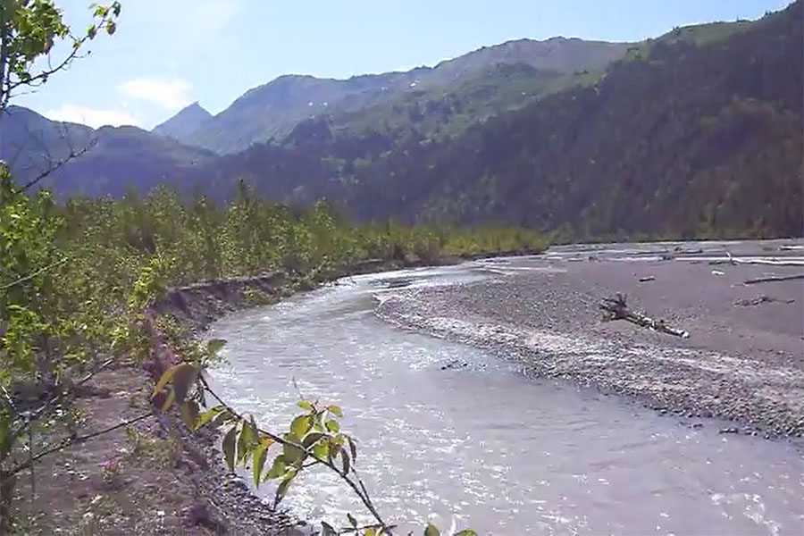 wosnesenski river alaska