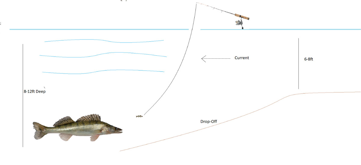 walleye river fishing into current diagram