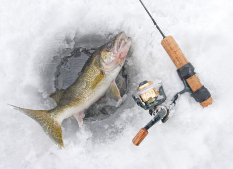 Ice Fishing for Perch by Matt Straw (Space Invaders, Spoons, and
