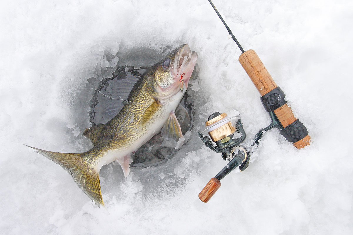 Winter Ice Fishing, Reel with Line Ice Fishing Rod Rod Tips Hook