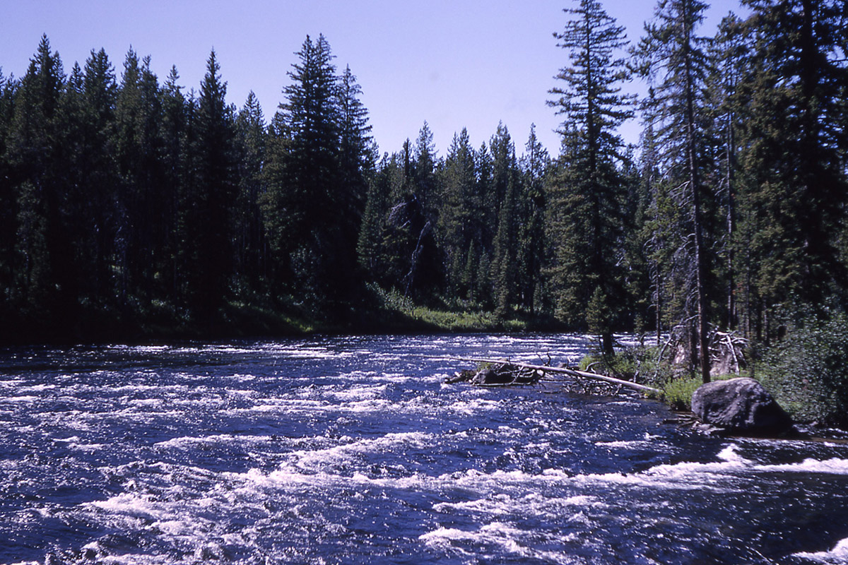bechler river yellowstone