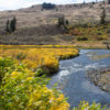 gardner river yellowstone