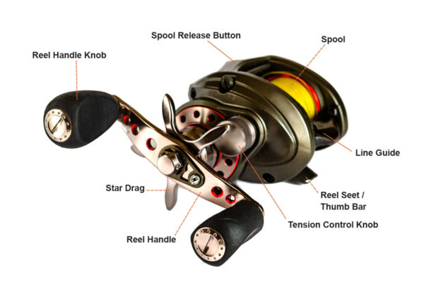 Baitcasters vs Spinning Reels: Which is the best? - Norrik