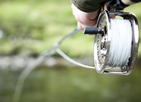 fly fishing line on reel