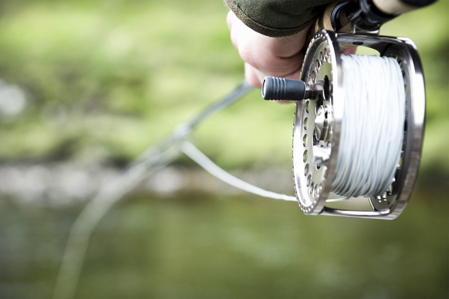 Best Fishing Line Configurations for Trout: Conventional and Fly