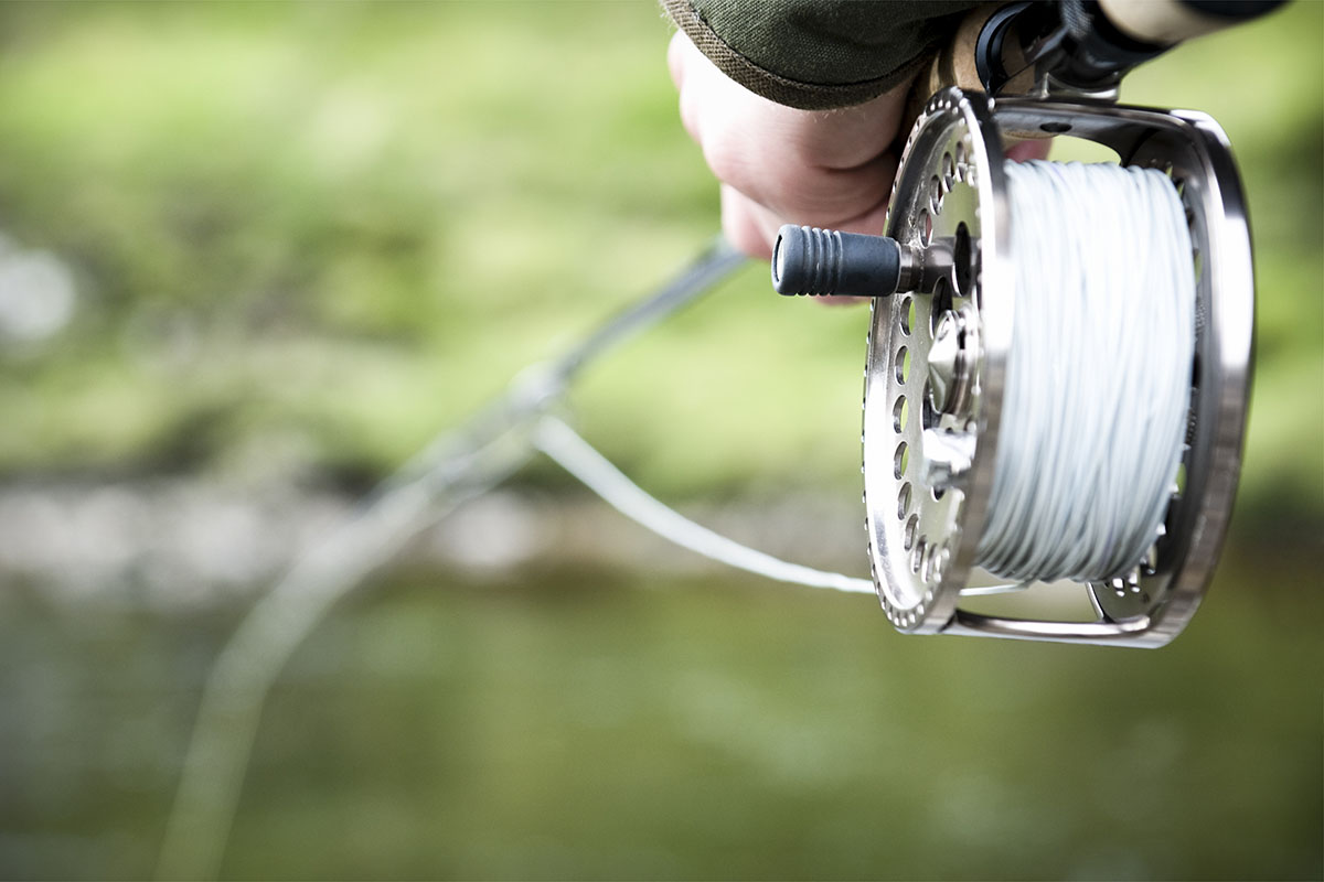  Fly Fishing Line