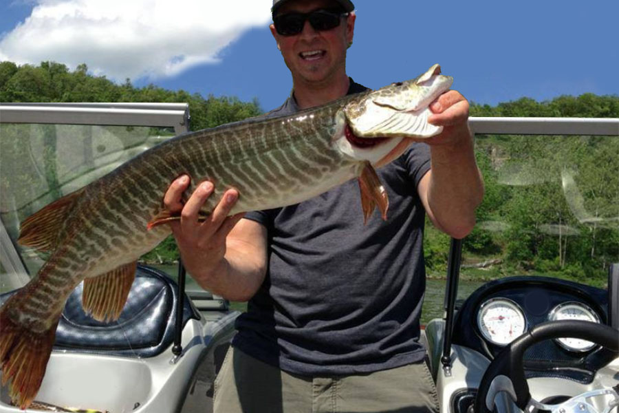 fisherman with tiger muskellunge