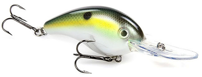 Get Twitchy with the Right Bait Choices for Inshore Fishing - Game & Fish