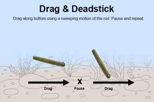 drag and deadstick technique for ned rig fishing