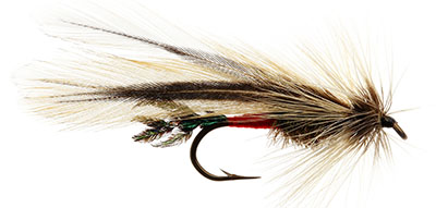 fishing dry fly