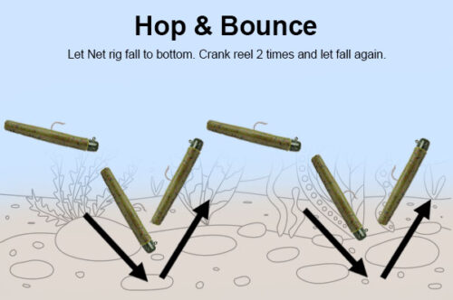 hop and bounce technique for ned rig fishing