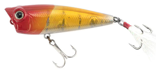 topwater lure with concave head