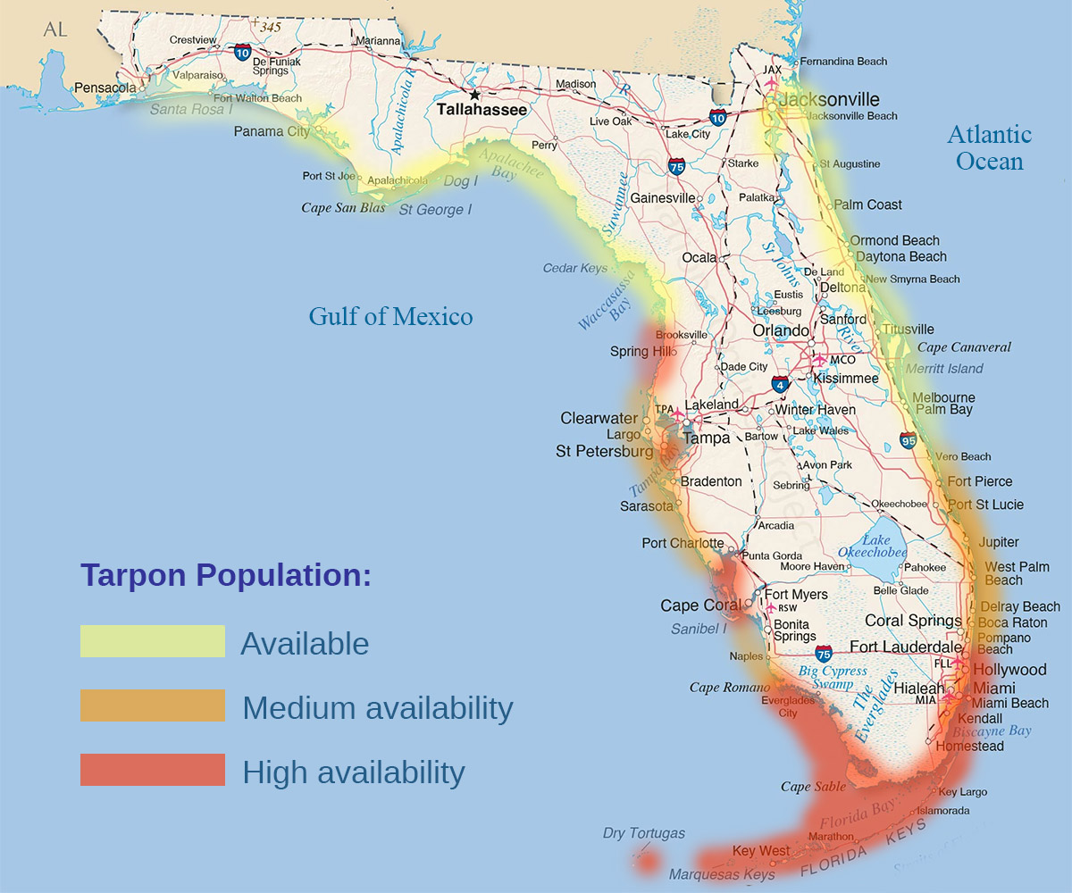 florida tarpon migration and availability map