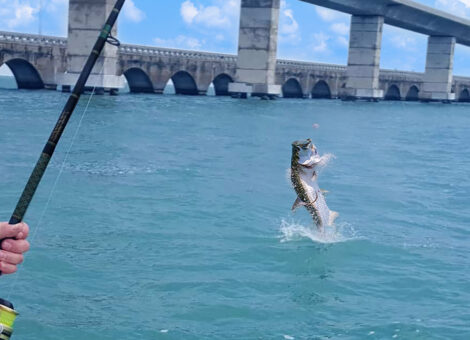 angler fishing next to bridge in florida keys