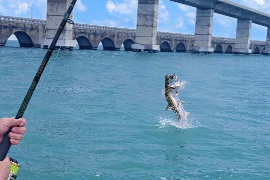 angler fishing next to bridge in florida keys