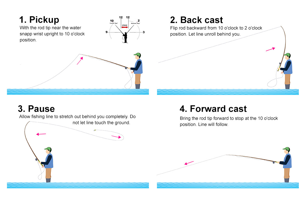 fly fishing casting steps