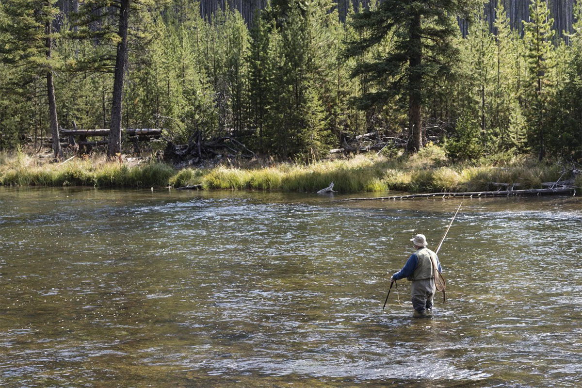 fly fisherman fishing in the madison river