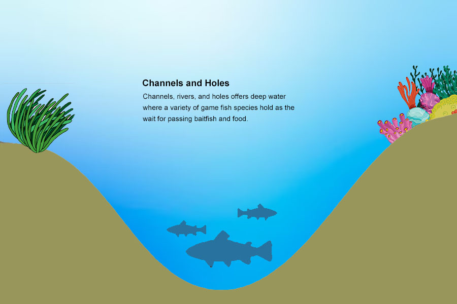 channels and holes with fish
