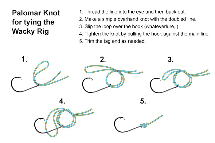 palomar knot for tying a wacky rig