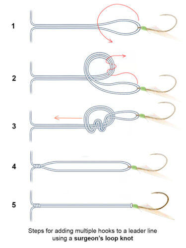 Steps for tying a surgeon's loop knot to add hooks to a leader line