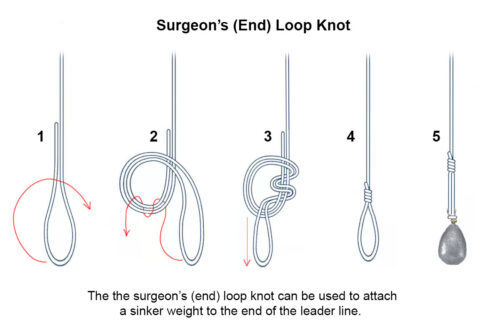steps to tying a surgeons end loop knot to attach a sinker weight to a leader line