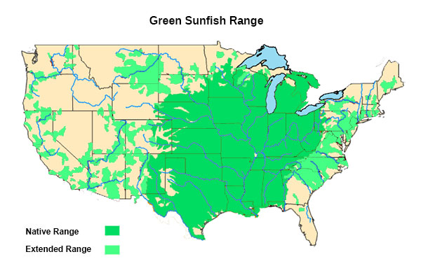 green sunfish range map