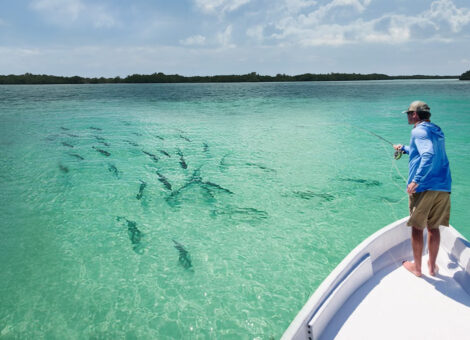 angler fishing school of permit in key west flats