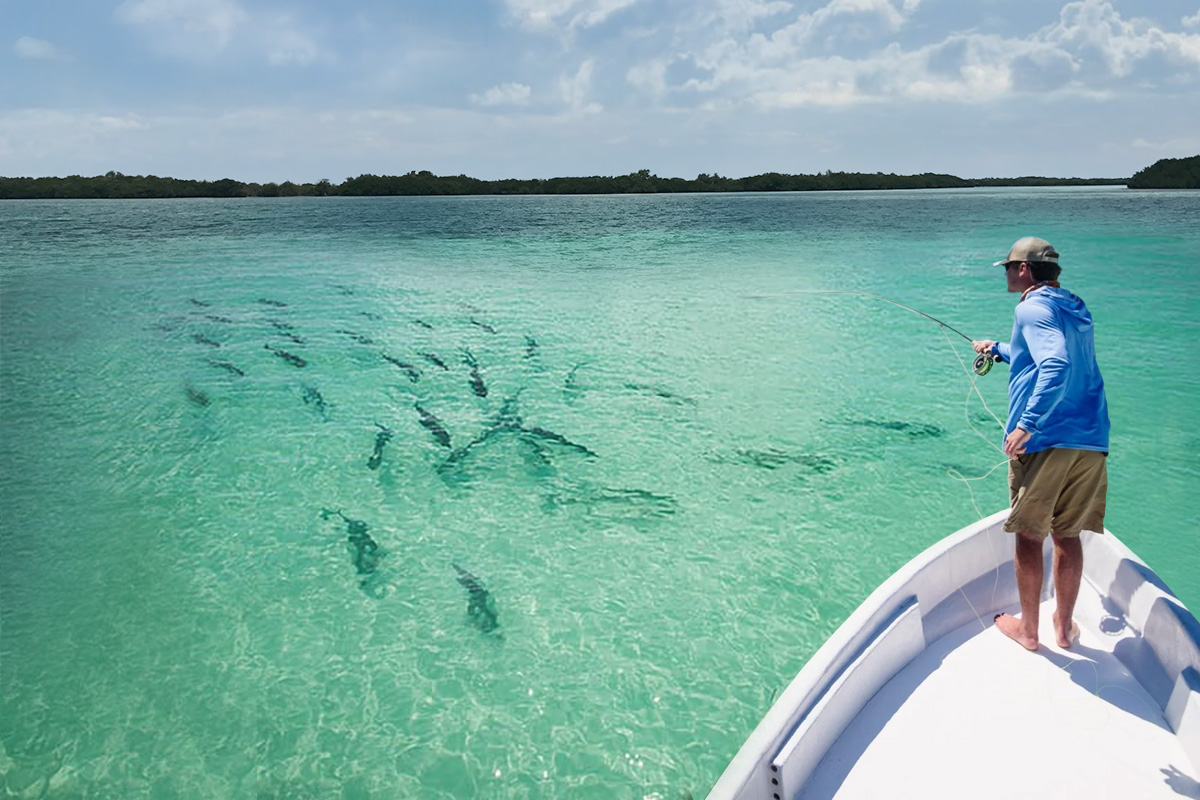 Fishing in BIG PINE KEY: The Complete Guide