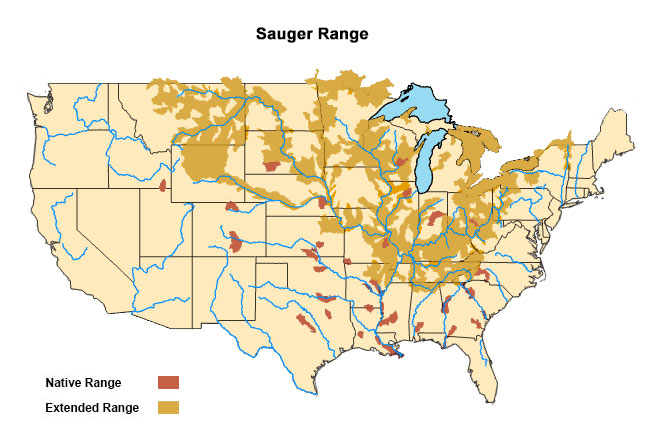 sauger range map